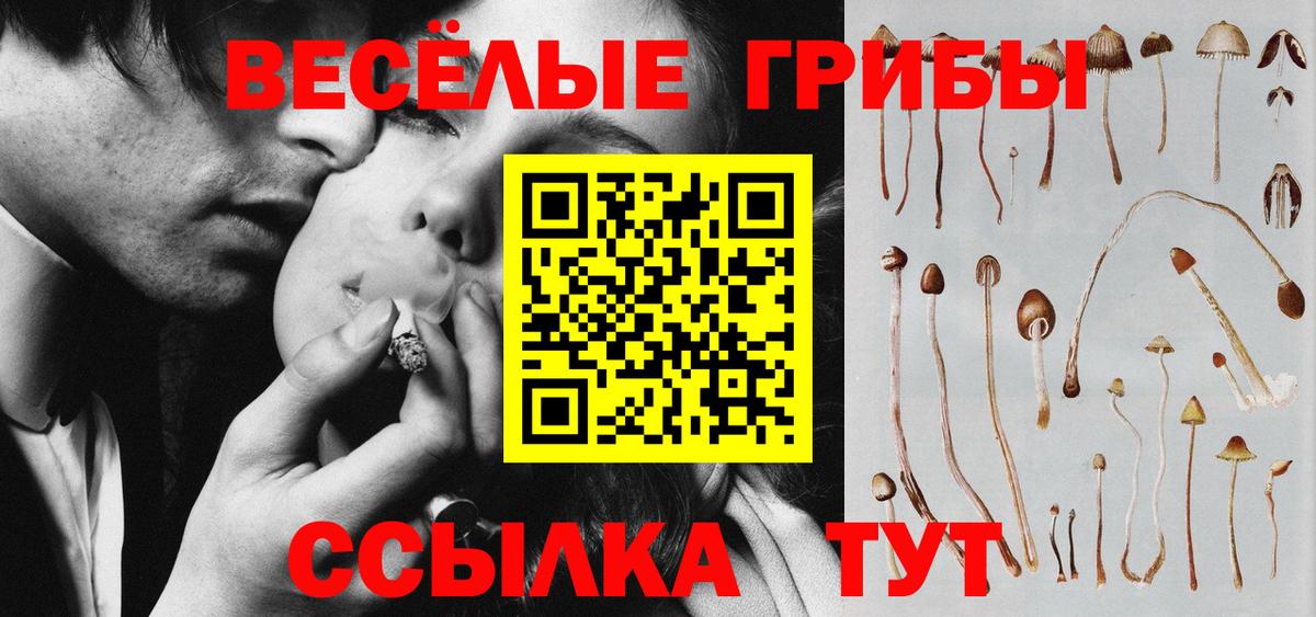 Благодарный  Галлюциногенные грибы прущие грибы  Галлюциногенные грибы ЛСД  Вход с VPN 